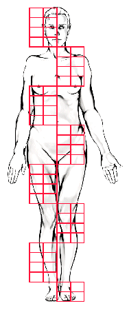 proportions